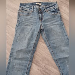 Vintage Paris Blue Distressed Skinny Jeans
